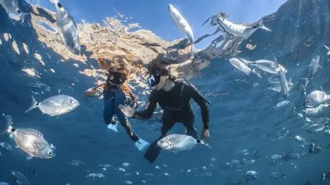 Snorkeling en la Costa Brava Snorkeling en la Costa Brava