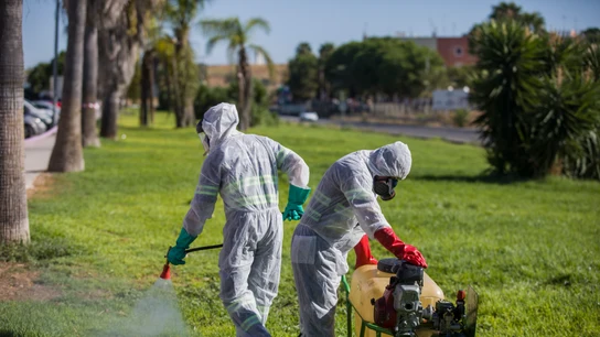 Un trabajador durante las labores de fumigación contra los mosquitos causantes del virus del Nilo en Coria del Río, (Sevilla, Andalucía, España), a 17 de agosto de 2020. Un trabajador durante las labores de fumigación contra los mosquitos causantes del virus del Nilo en Coria del Río, (Sevilla, Andalucía, España), a 17 de agosto de 2020.