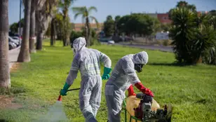 Un trabajador durante las labores de fumigación contra los mosquitos causantes del virus del Nilo en Coria del Río, (Sevilla, Andalucía, España), a 17 de agosto de 2020.