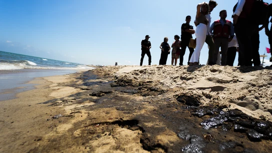 Vista del vertido en la playa de El Saler, a 16 de julio de 2024, en Valencia, Comunidad Valenciana (España). Vista del vertido en la playa de El Saler, a 16 de julio de 2024, en Valencia, Comunidad Valenciana (España).