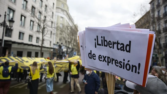 Pancartas que rezan 'Libertad de Expresión' en una manifestación contra la ley mordaza. Pancartas que rezan 'Libertad de Expresión' en una manifestación contra la ley mordaza.