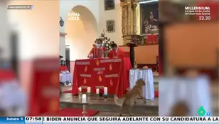 Un perro con hambre decide robar el cuerpo de Cristo en plena misa cuando el cura no mira