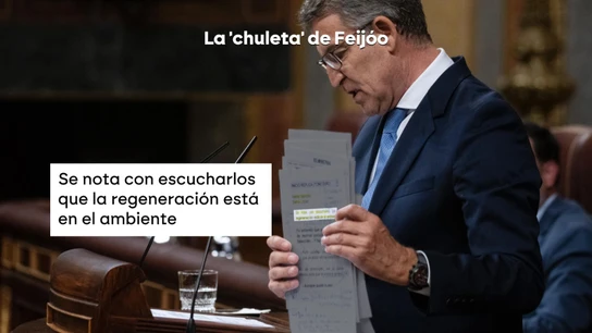 La 'chuleta' de Feijóo: la notas del líder del PP para confrontar a Sánchez en el Congreso. La 'chuleta' de Feijóo: la notas del líder del PP para confrontar a Sánchez en el Congreso.