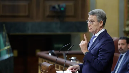 El líder del PP, Alberto Núñez Feijóo, este miércoles en el Congreso de los Diputados El líder del PP, Alberto Núñez Feijóo, este miércoles en el Congreso de los Diputados