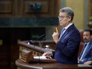 El líder del PP, Alberto Núñez Feijóo, este miércoles en el Congreso de los Diputados