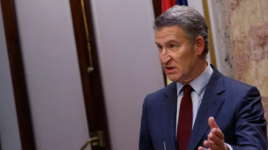El líder del PP, Alberto Núñez Feijóo El líder del PP, Alberto Núñez Feijóo