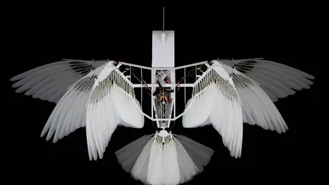 modelo de pájaro robótico con plumas reales de paloma modelo de pájaro robótico con plumas reales de paloma