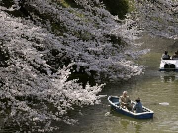 Pareja de ancianos en Japón