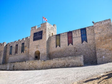  Castillo de Trigueros del Valle