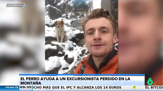 El increíble momento en el que un perro ayuda a un excursionista perdido en la montaña a casi 5.000 metros El increíble momento en el que un perro ayuda a un excursionista perdido en la montaña a casi 5.000 metros