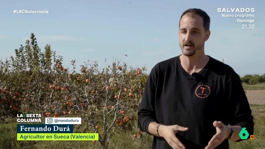 Fernando Durá, tras desmontar el bulo sobre los muertos en el túnel de Alfafar laSexta Columna entrevista a Fernando Durá, un agricultor víctima de la DANA que, tras colaborar con los Bomberos en el túnel entre Alfafar y Benetússer, fue insultado en redes por desmentir el bulo de que allí había decenas de muertos.
