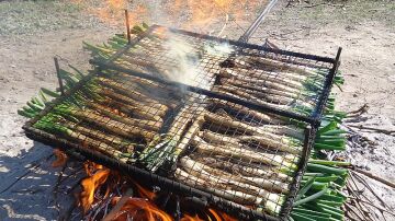 Calçots