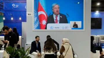 COP29