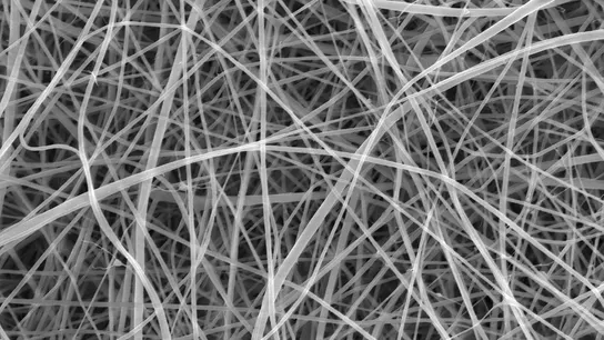 Espaguetis microscópicos Espaguetis microscópicos