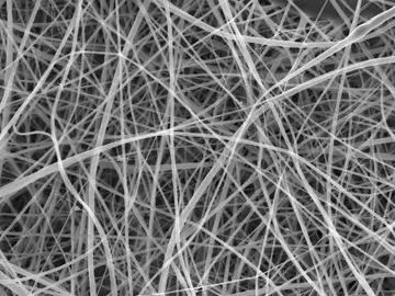 Espaguetis microscópicos Espaguetis microscópicos