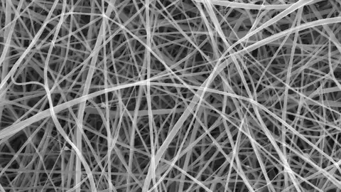 Espaguetis microscópicos Espaguetis microscópicos