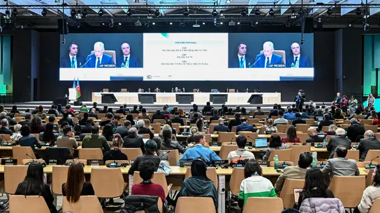 Los países en la COP29 sellan el acuerdo sobre el mercado mundial del carbono. Los países en la COP29 sellan el acuerdo sobre el mercado mundial del carbono.