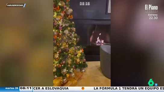 Alfonso Arús alucina con el árbol de Navidad de Georgina Rodríguez: "Creo que va a arder" Alfonso Arús alucina con el árbol de Navidad de Georgina Rodríguez: "Creo que va a arder"