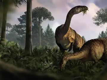 recreación dinosaurios recreación dinosaurios