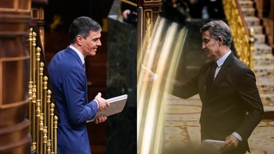 Imágenes de Pedro Sánchez y Alberto Núñez Feijóo en el Congreso. Imágenes de Pedro Sánchez y Alberto Núñez Feijóo en el Congreso.