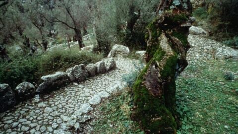 Empedrado del Barranco de Biniaraix