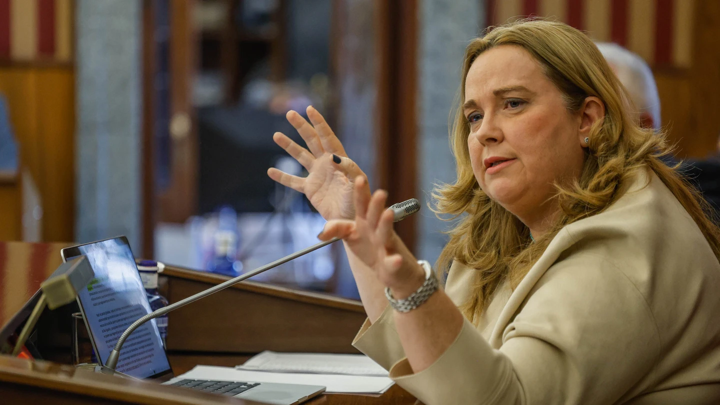 La alcaldesa de Burgos, Cristina Ayala interviene en un pleno extraordinario La alcaldesa de Burgos, Cristina Ayala interviene en un pleno extraordinario
