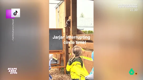 Unos niños se parten de risa cuando una cabra les 'saluda': "No solo le dice algo sino que debe ser un chiste" Los pequeños visitaron una granja y, en plena asamblea, recibieron la visita de una cabra que se asomó en a su reunión y, los niños, alucinaron con el animal.