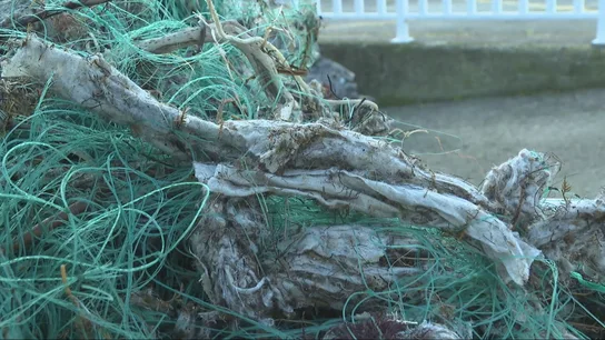 Toallitas enredadas en las redes de pescadores asturianos Toallitas enredadas en las redes de pescadores asturianos