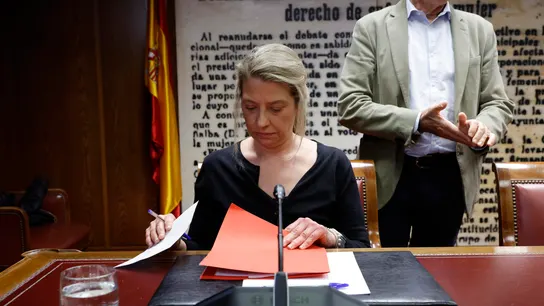 La asesora de Moncloa María Cristina Álvarez, en la comisión que investiga el caso Koldo en el Senado. La asesora de Moncloa María Cristina Álvarez, en la comisión que investiga el caso Koldo en el Senado.