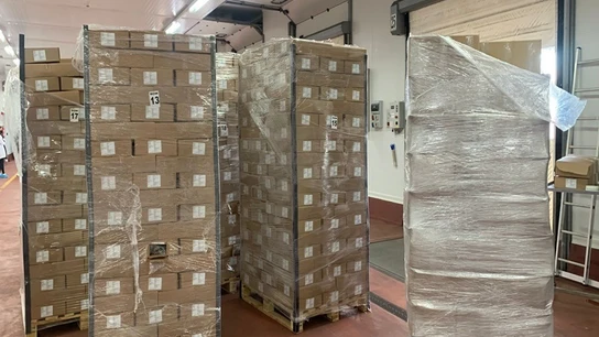 Cocaína intervenida en el Puerto de Algeciras. Cocaína intervenida en el Puerto de Algeciras.