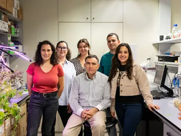 El grupo de investigadores españoles El grupo de investigadores españoles