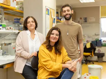 Investigadores del estudio Investigadores del estudio