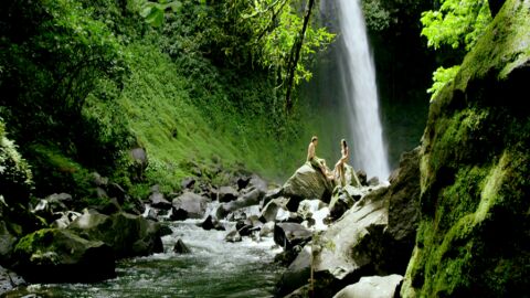 Naturaleza