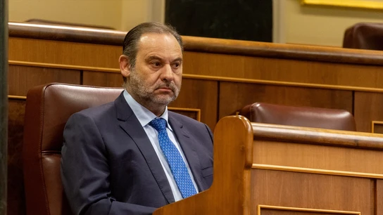 El diputado del Grupo Mixto José Luis Ábalos en una imagen en el Congreso El diputado del Grupo Mixto José Luis Ábalos en una imagen en el Congreso/ Eduardo Parra / Europa Press