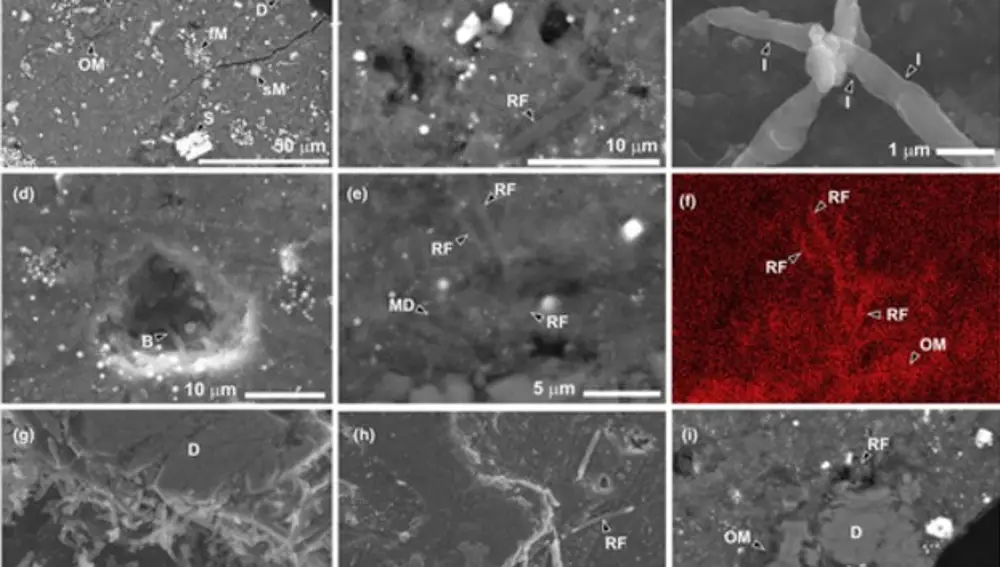 Muestra presente en el asteroide Ryugu Muestra presente en el asteroide Ryugu