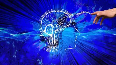 Cerebro Cerebro