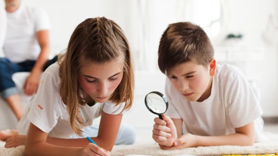 Los alumnos de cuarto de Primaria retroceden en matemáticas y ciencias.  Los alumnos de cuarto de Primaria retroceden en matemáticas y ciencias.