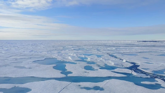 Hielo del Ártico Hielo del Ártico