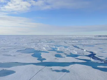 Hielo del Ártico Hielo del Ártico