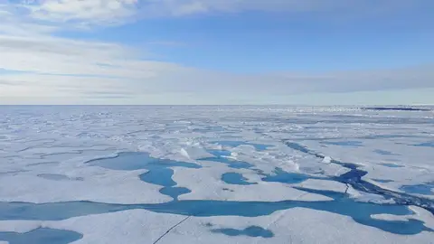 Hielo del Ártico Hielo del Ártico