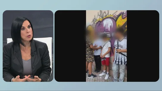 Bea de Vicente habla sobre la infancia de los agresores de Vigo Bea de Vicente habla sobre la infancia de los agresores de Vigo