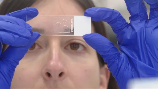Investigadores españoles descubren cómo una alteración neuronal podría ser clave en el origen del autismo Investigadores españoles descubren cómo una alteración neuronal podría ser clave en el origen del autismo