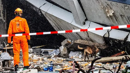 Un miembro de los equipos de rescate trabaja junto a un perro en el lugar donde un edificio se ha derrumbado por una explosión en La Haya. Un miembro de los equipos de rescate trabaja junto a un perro en el lugar donde un edificio se ha derrumbado por una explosión en La Haya.