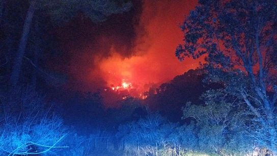 Incendio forestal en Andratx (Mallorca). Imagen de archivo. Incendio forestal en Andratx (Mallorca). Imagen de archivo.
