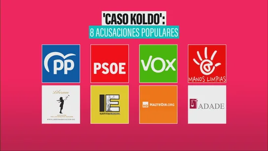 El 'Caso Koldo' y sus ocho acusaciones populares El 'Caso Koldo' y sus ocho acusaciones populares
