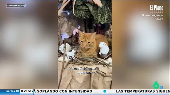 El divertido viral del gato que suplanta al niño Jesús en el belén El divertido viral del gato que suplanta al niño Jesús en el belén