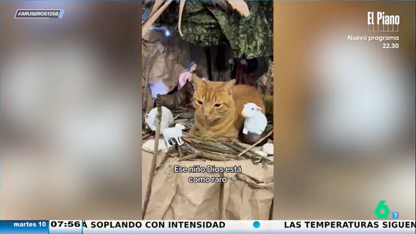 El divertido viral del gato que suplanta al niño Jesús en el belén El divertido viral del gato que suplanta al niño Jesús en el belén
