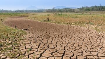 Una de las regiones más afectadas será el Mediterráneo