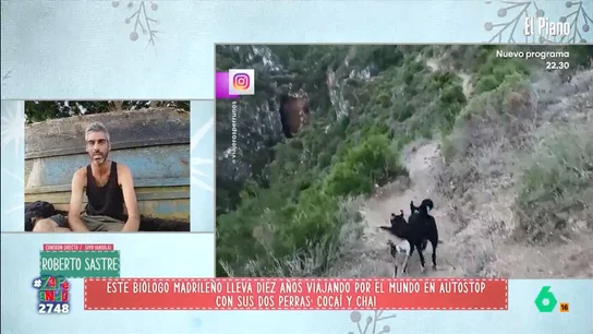 Esta ha sido la aventura más peligrosa de Roberto Sastre viajando con sus perros: "En México me cogieron dos narcotraficantes" El biólogo lleva 10 años viajando con sus dos perras, Chai y Cocaí. El aventurero ha vivido momentos increíbles pero también situaciones peligrosas que, por suerte, terminaron de la mejor manera.