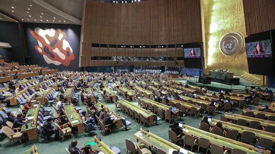 La Asamblea General de la ONU La Asamblea General de la ONU